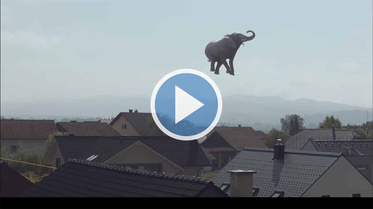 Creature_Elephant_Animation